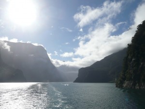 cruise milford fjord new zealand