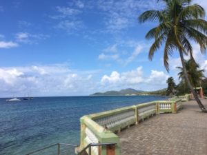 Vieques Vacation