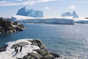 Environment Conservation Antarctica