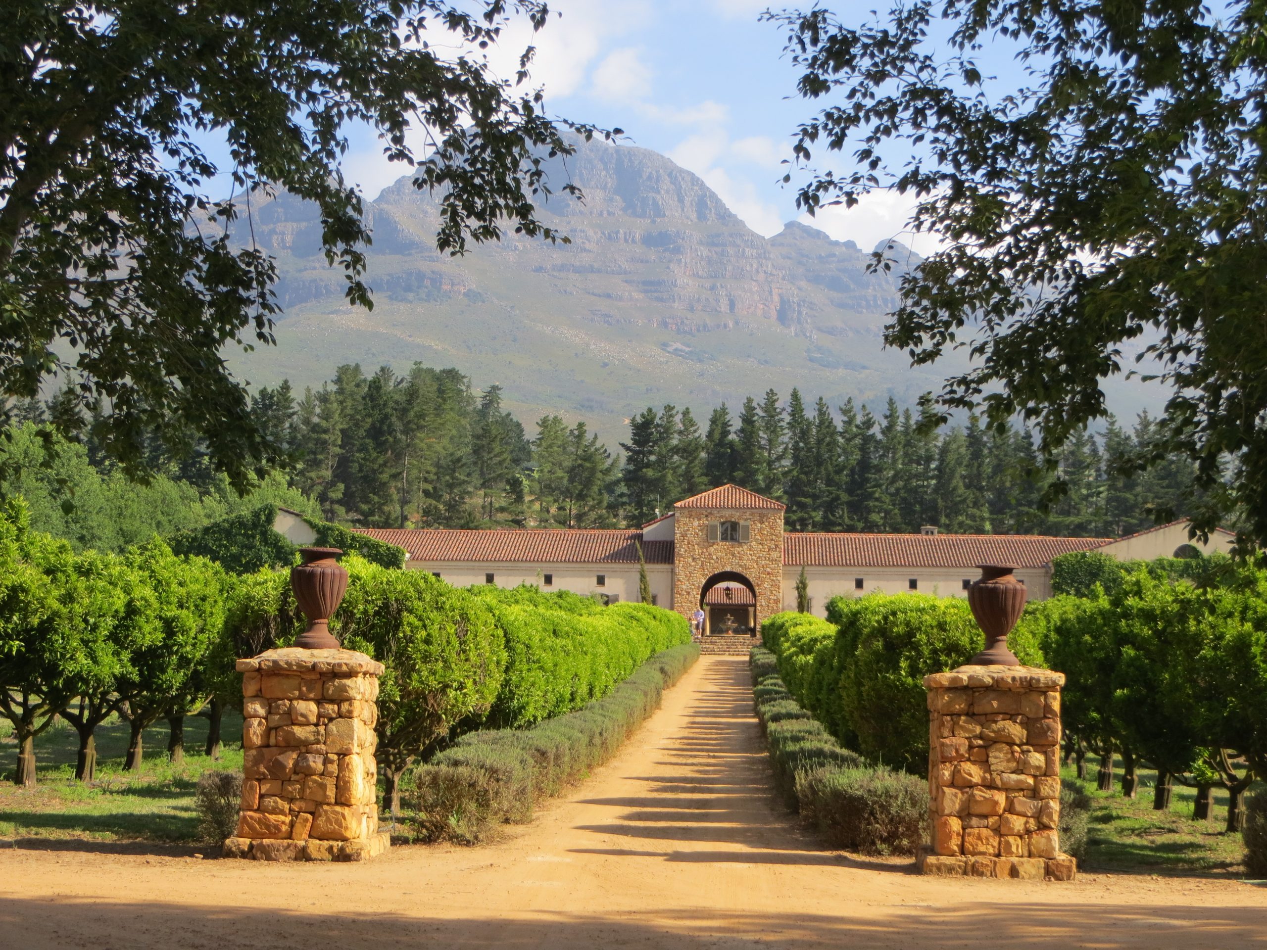 Top Wineries of Stellenbosch