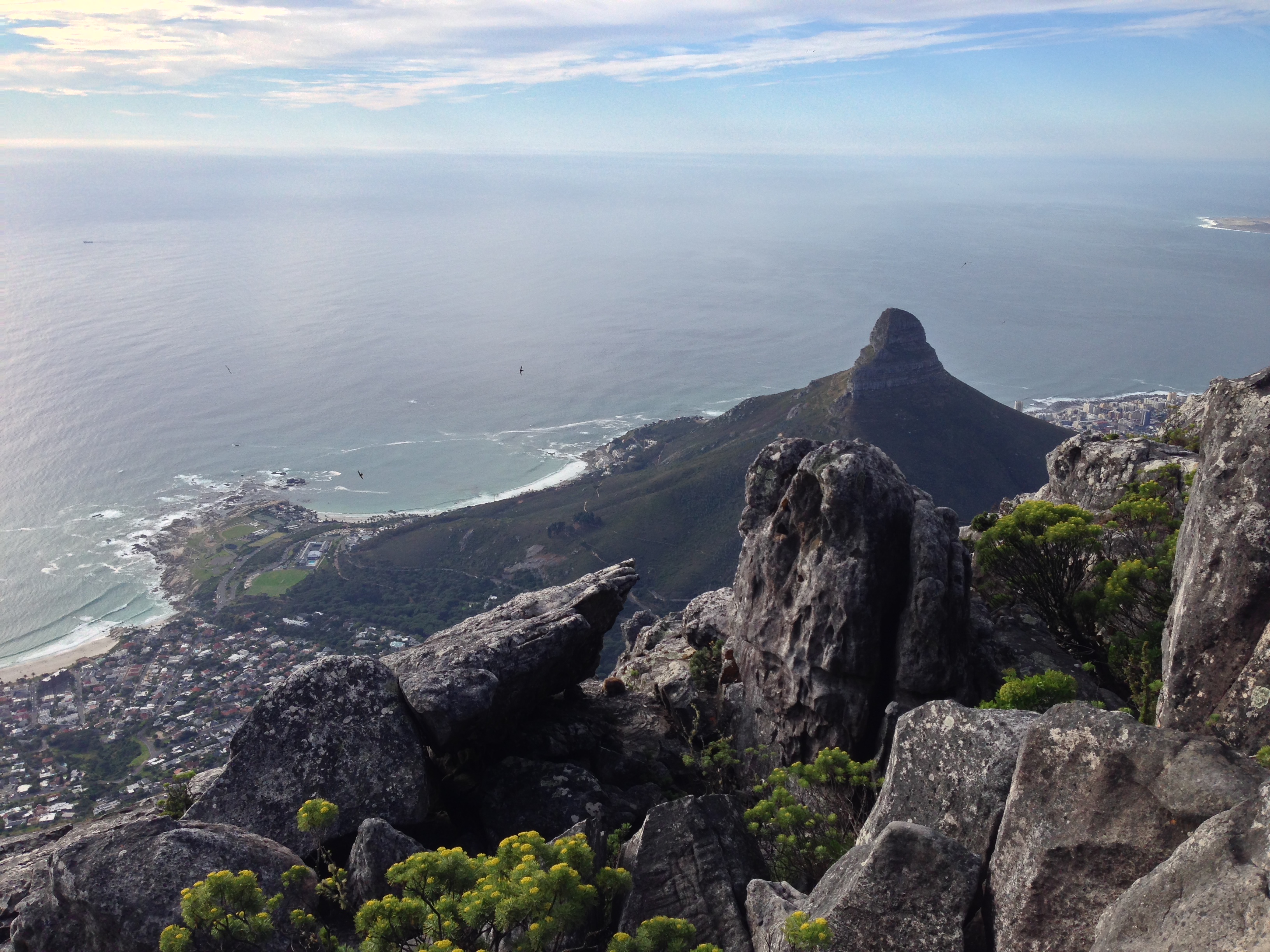 Top 10 Things to Do in Cape Town, the Rainbow City